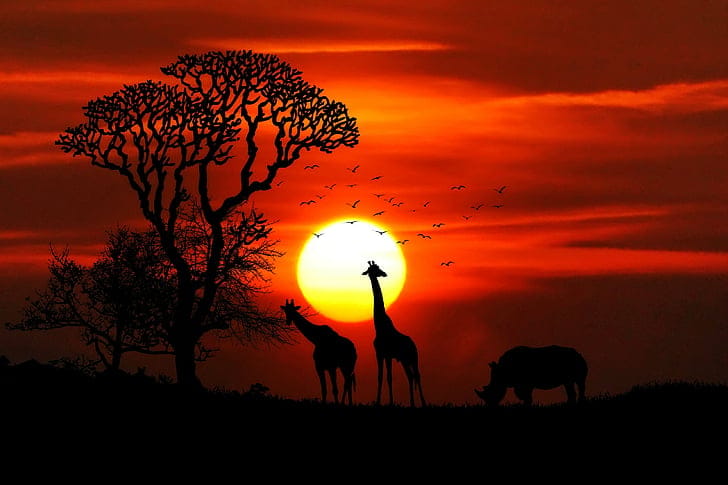 Giraffe silhouette on African savanna at sunset