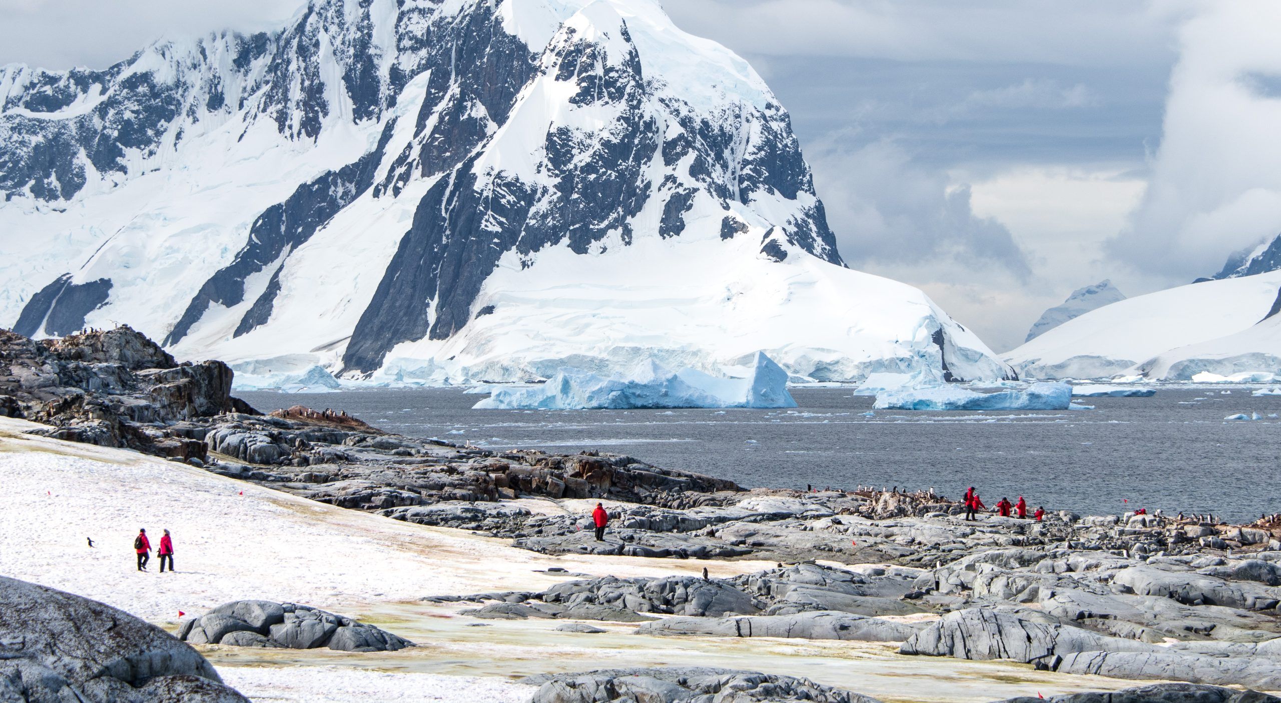 Antarctic shoreline with penguins and icebergs